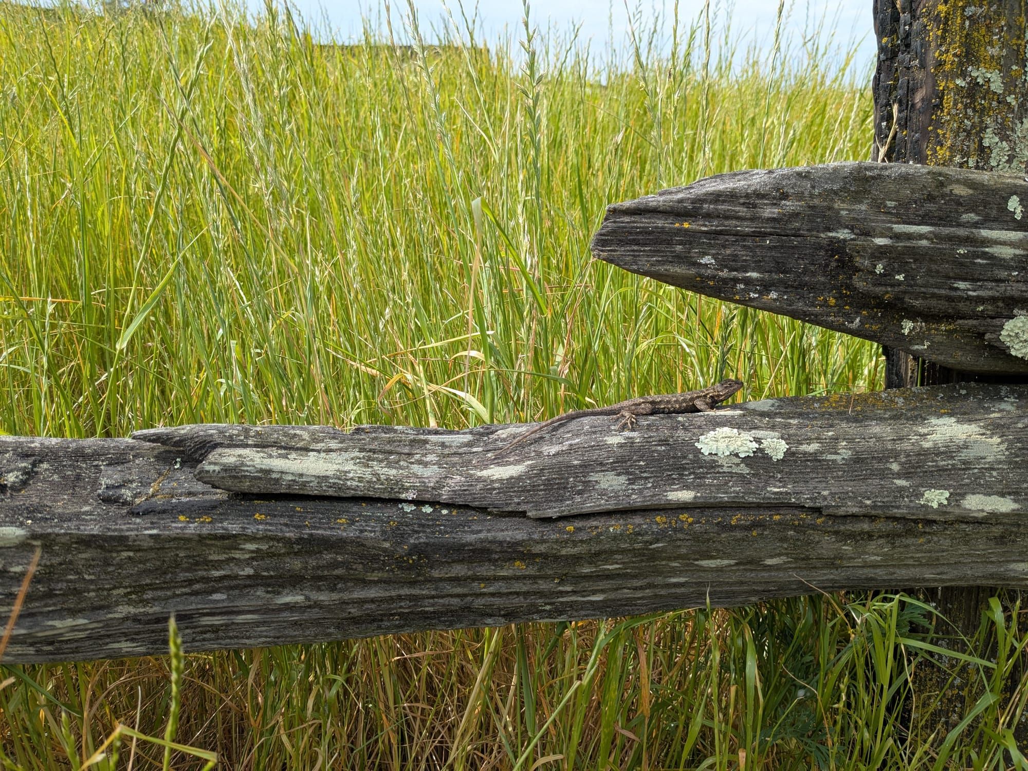 Oakland Review of Books calendar of (not just) literary events, April 6–12: BONUS MONDAY EXISTS EDITION