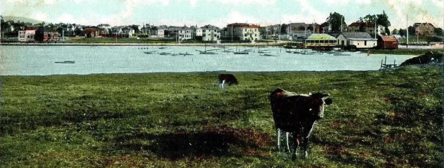 A detail from a postcard, with a cow grazing on the grass in the foreground, another in the distance, and a lake in the background. A disconcertingly bucolic scene.