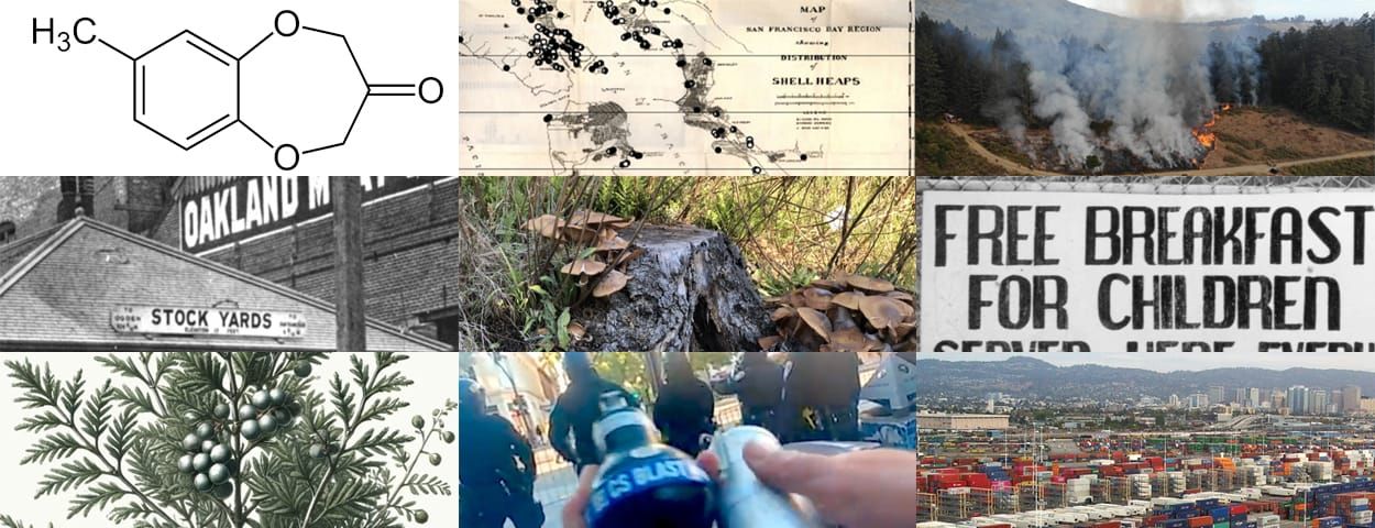 A 3x3 grid of images reflecting the ingredients enumerated below.
