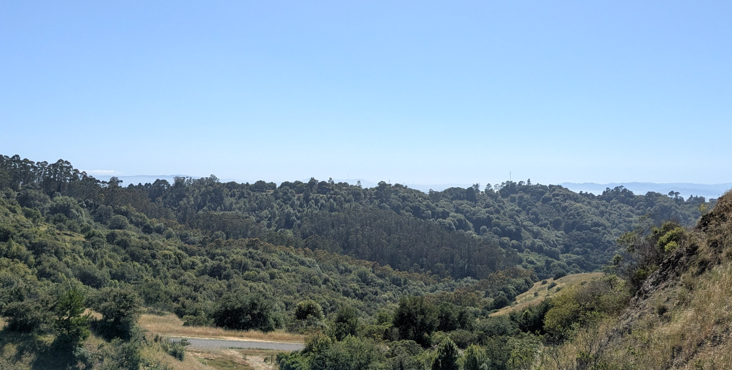 a lovely east bay vista