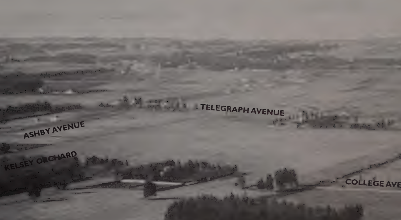 An overhead view of Elmwood a century ago, black and white photograph