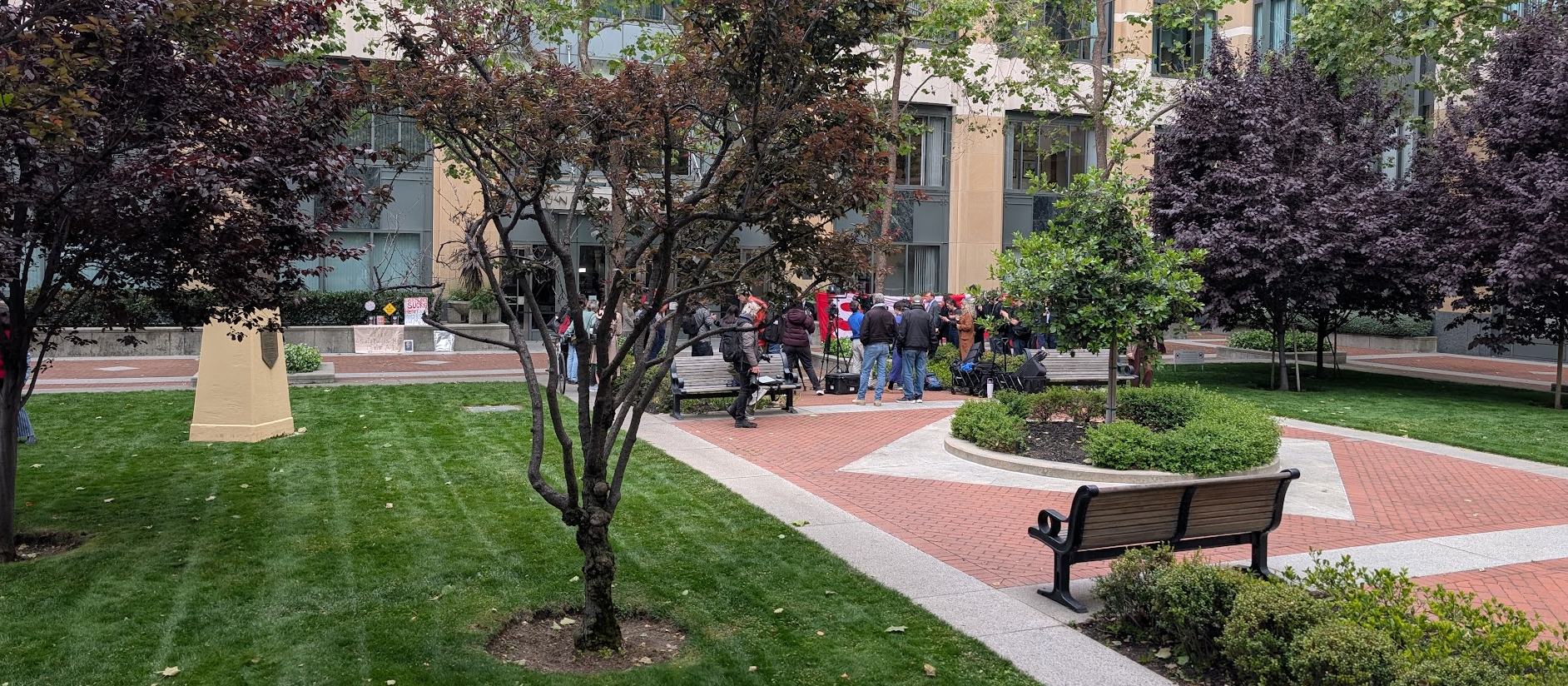A mostly empty lawn and landscaped open area, with the OpenAI journalistic scrum lost in the trees.