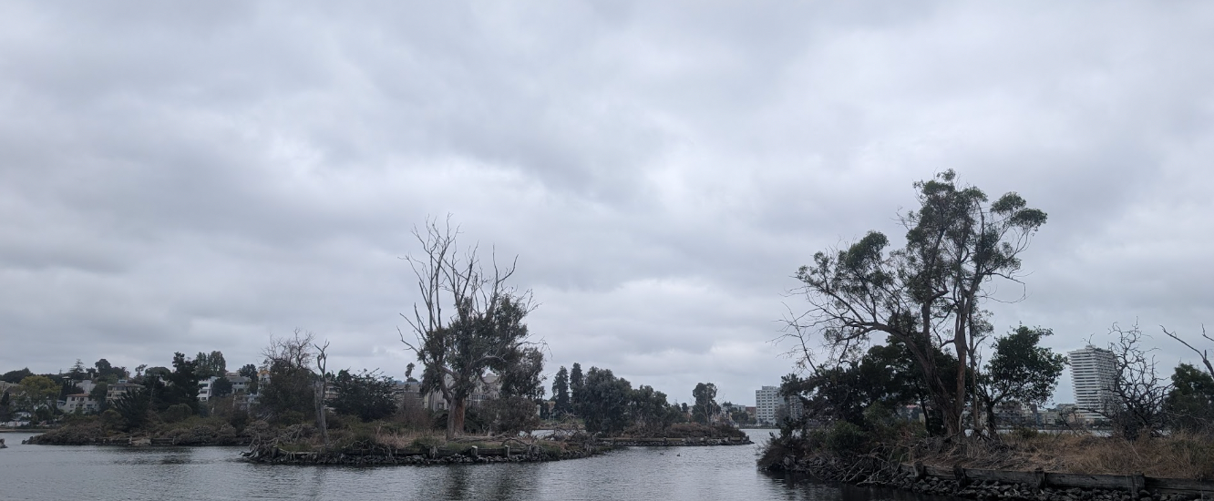 Grey sky over Lake Merritt.