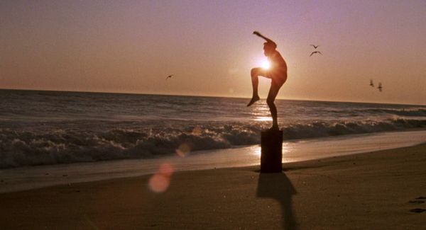 동전 던지기 이코노미