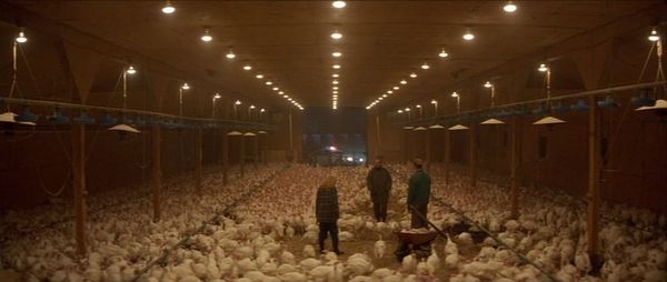 2026년, 사이드 허슬의 실체