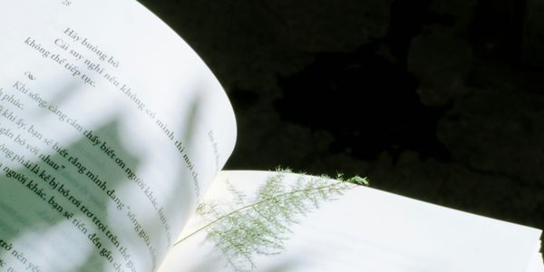 Storytelling With Data: Part 1