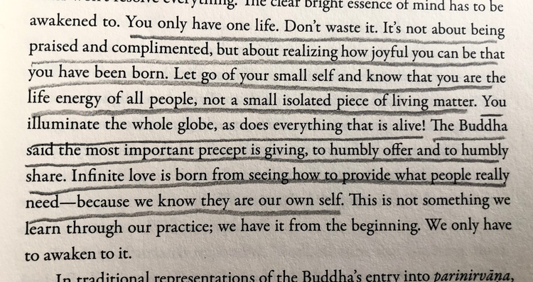 You only have one life.