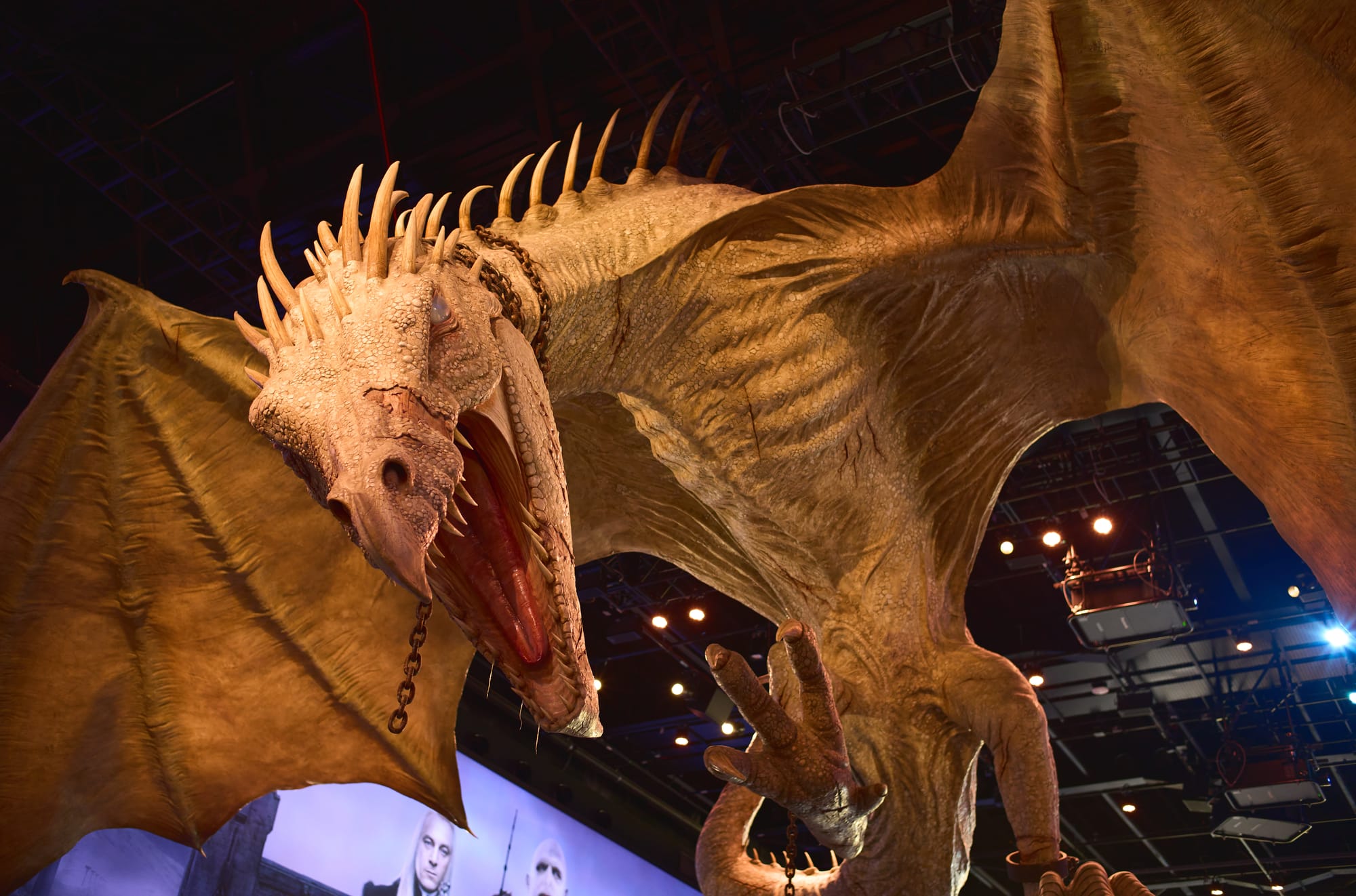 The Ukrainian Ironbelly dragon from Warner Bros. Studios (Harry Potter)