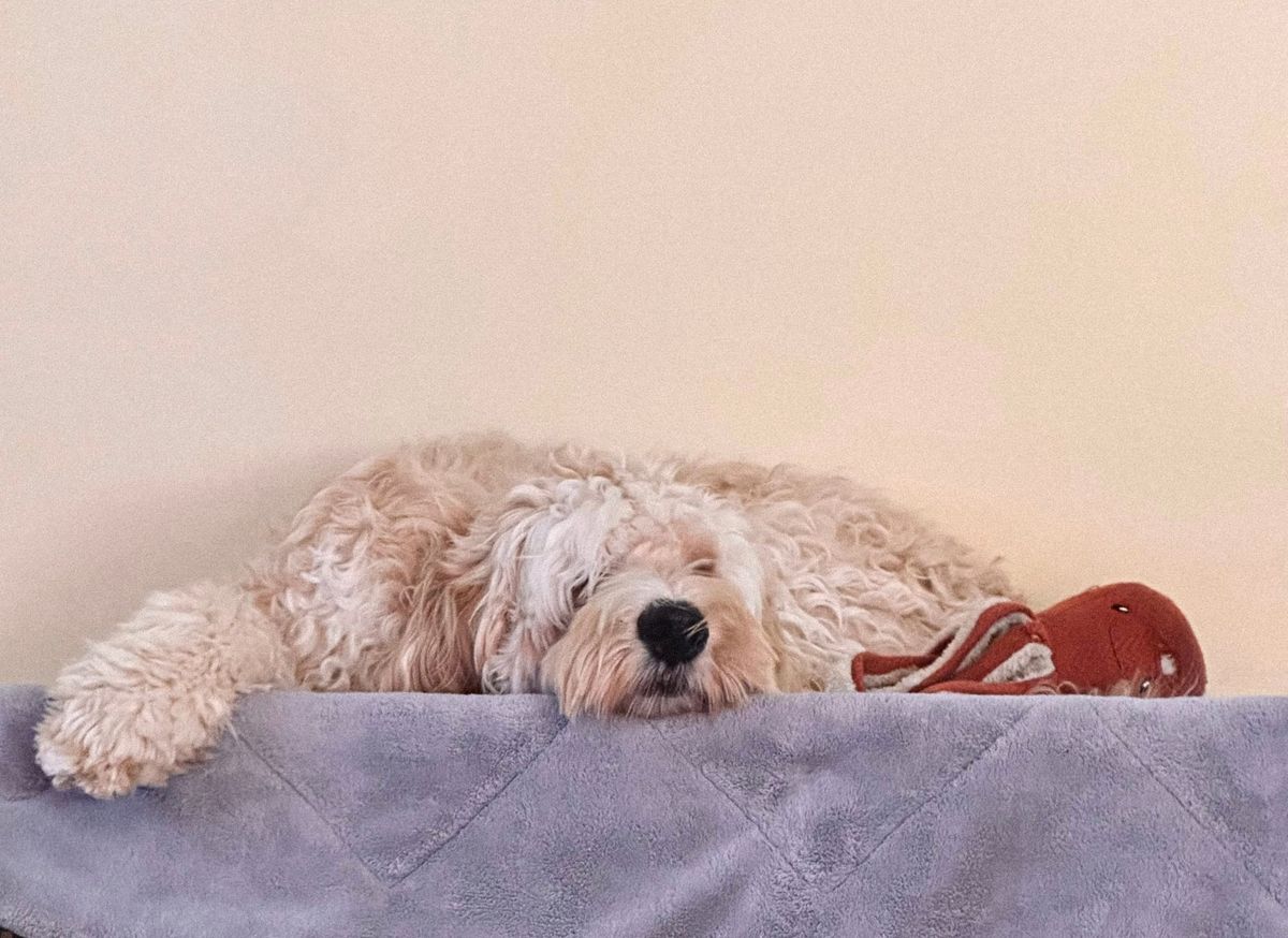 Five More Minutes