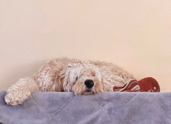 Five More Minutes