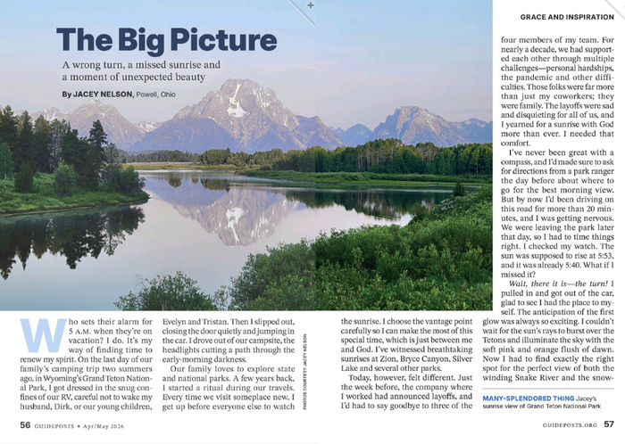 The Big Picture