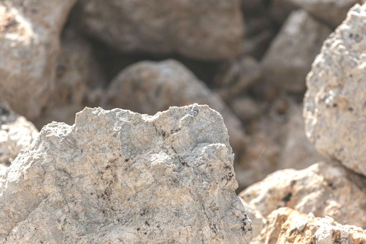 Where Capital and Nature Meet