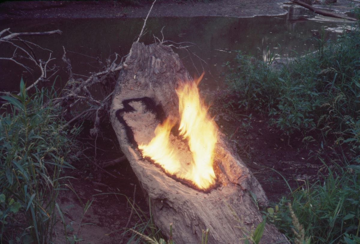 Ana Mendieta's Ecological Politics