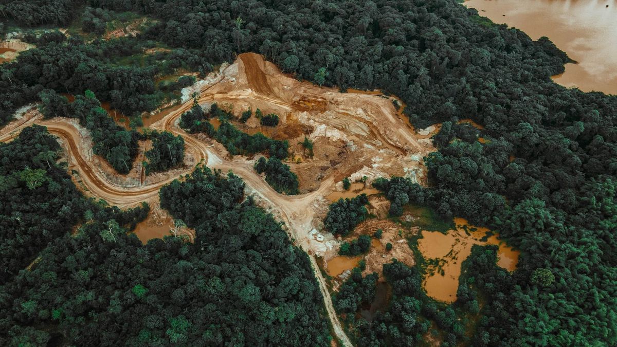 Aerial photograph show destruction of a forest in Trinidad and Tobago