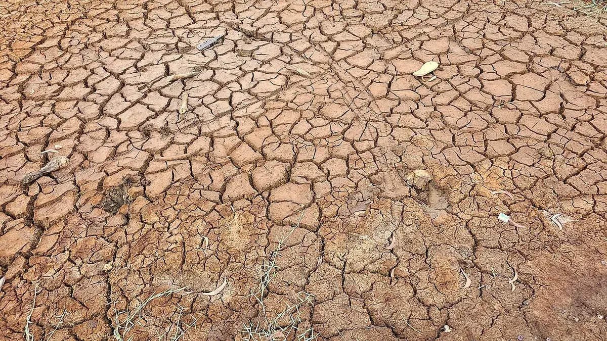 Making people care about the climate