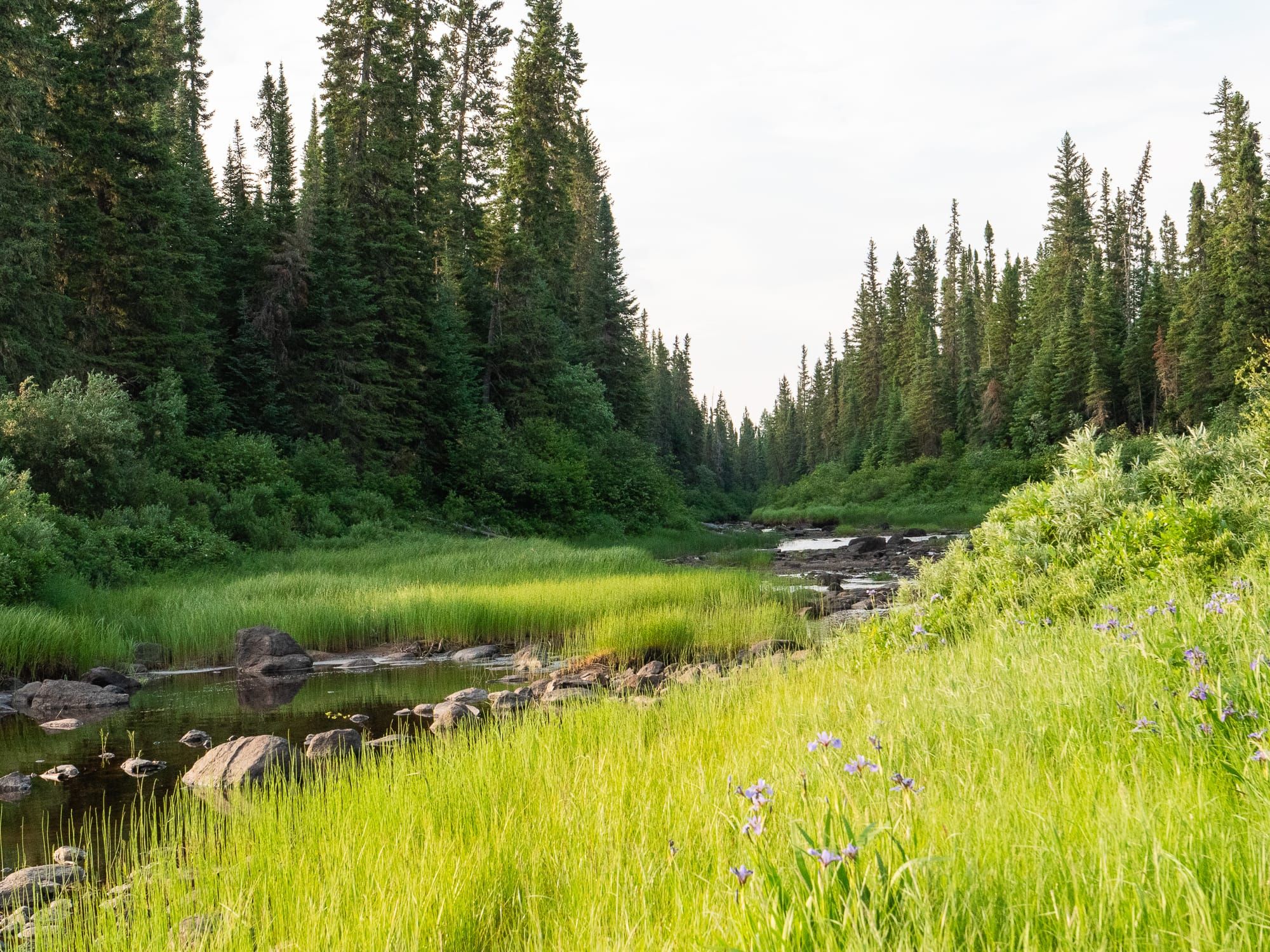 Resistance on the Attawapiskat