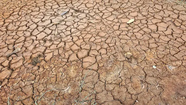 Making People Care About the Climate