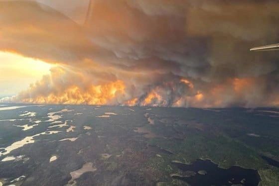 "Does Anyone Know Why There Is Smoke in the Air?"