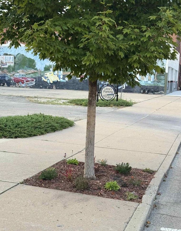 Flowers Instead of Grates at the Library