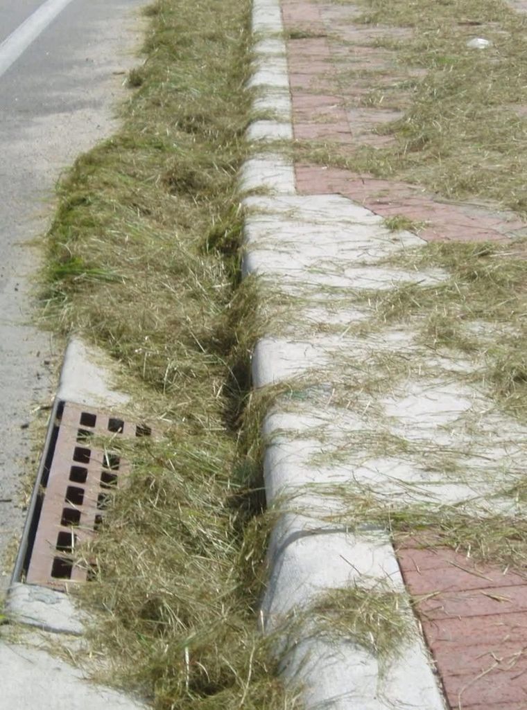 Mow, Blow, and Overflow: Streator’s Grass Clipping Dilemma