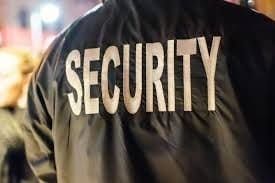 AI Asks About Security, Streator Responds: “Guns.”