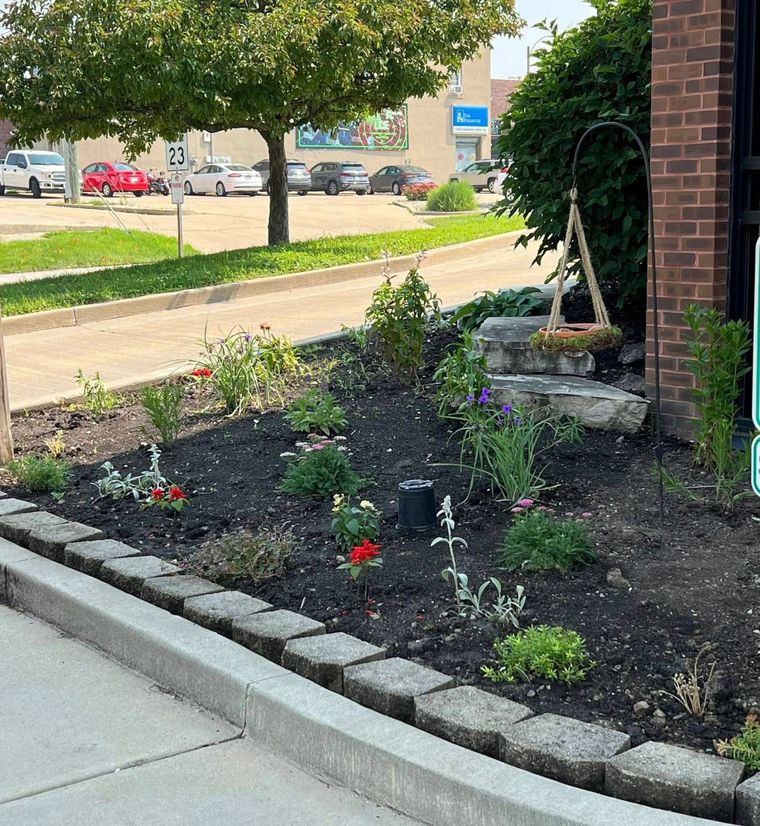 Monarchs Take Flight in Streator Thanks to Local Mission