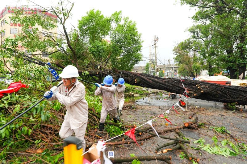 Power restoration workers clear a fallen tree and restring power lines following heavy rainfall brought by Typhoon Dolphin in Wenzhou