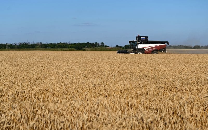 Wheat harvest in Russia's Rostov Region