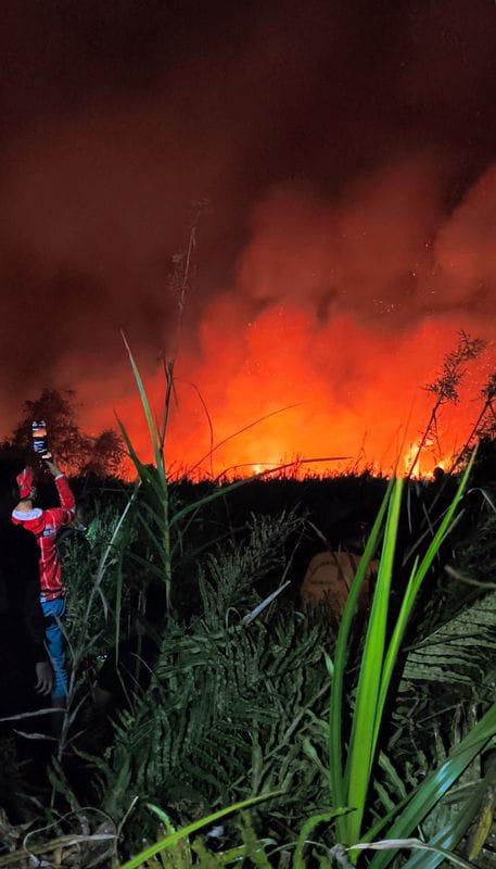 Fire in Lamandau forest in Kalimantan, Indonesia