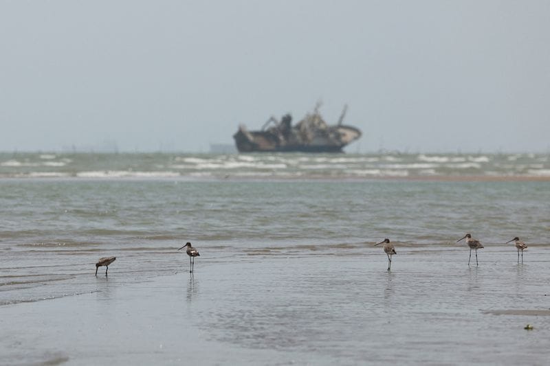 Vessels in the Strait of Hormuz are visible near the beach of Bandar Abbas