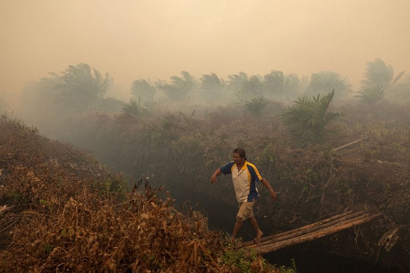 Wildfires in West Kalimantan