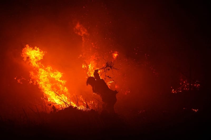 A firefighter uses a tree branch to try and douse the flames amid a wildfire in Palembang