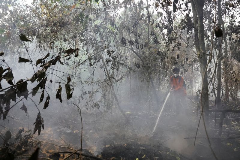 Wildfires in West Kalimantan province