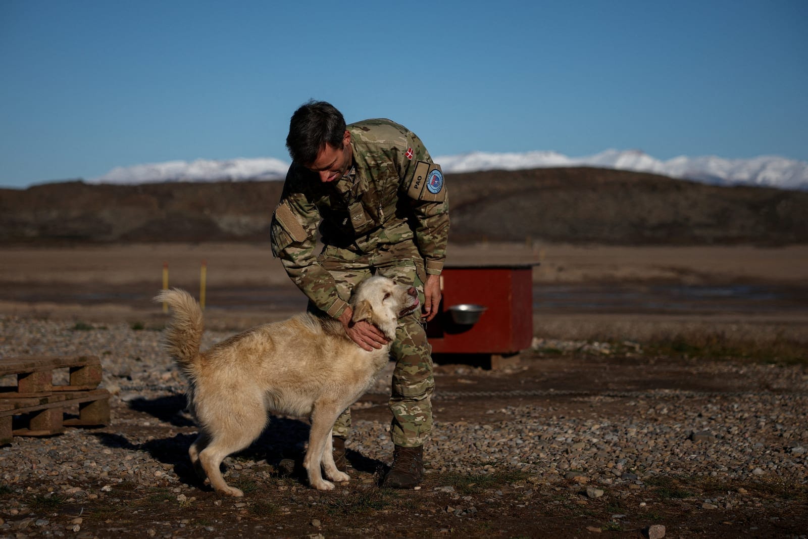 FILE PHOTO: A member of the Danish armed forces pets a former Sirius Dog Sled Patrol dog at Mestersvig military outpost in Mestersvig, Greenland, September 18, 2025. REUTERS/Guglielmo Mangiapane/File Photo