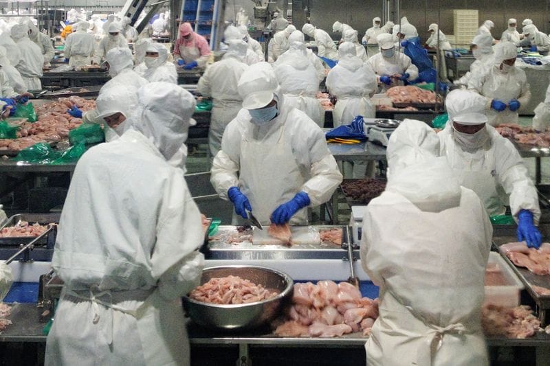Wintop Food Group's frozen chicken-processing factory in Tengzhou