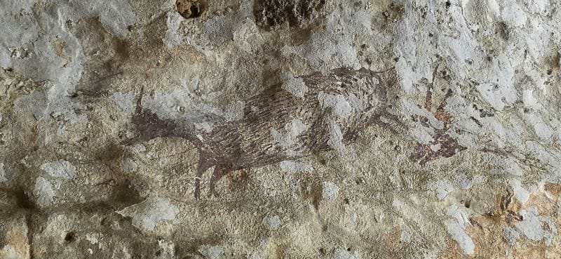 A rock painting depicting a pig at a cave in Maros-Pangkep