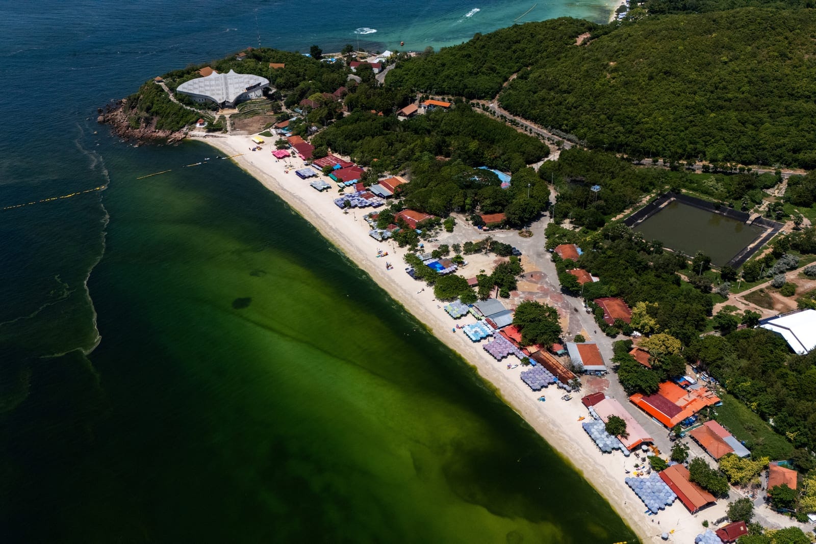 A drone view shows green seawater associated with a plankton bloom, in Koh Lan, Pattaya, Chonburi province, Thailand, October 1, 2026. REUTERS/Athit Perawongmetha