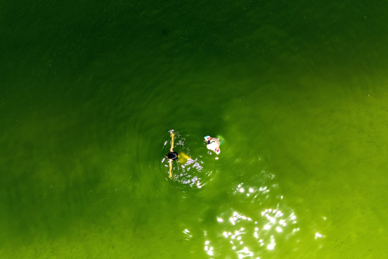 A drone view shows tourists swimming in green seawater associated with a plankton bloom, in Koh Lan, Pattaya, Chonburi province, Thailand, October 1, 2026. REUTERS/Athit Perawongmetha