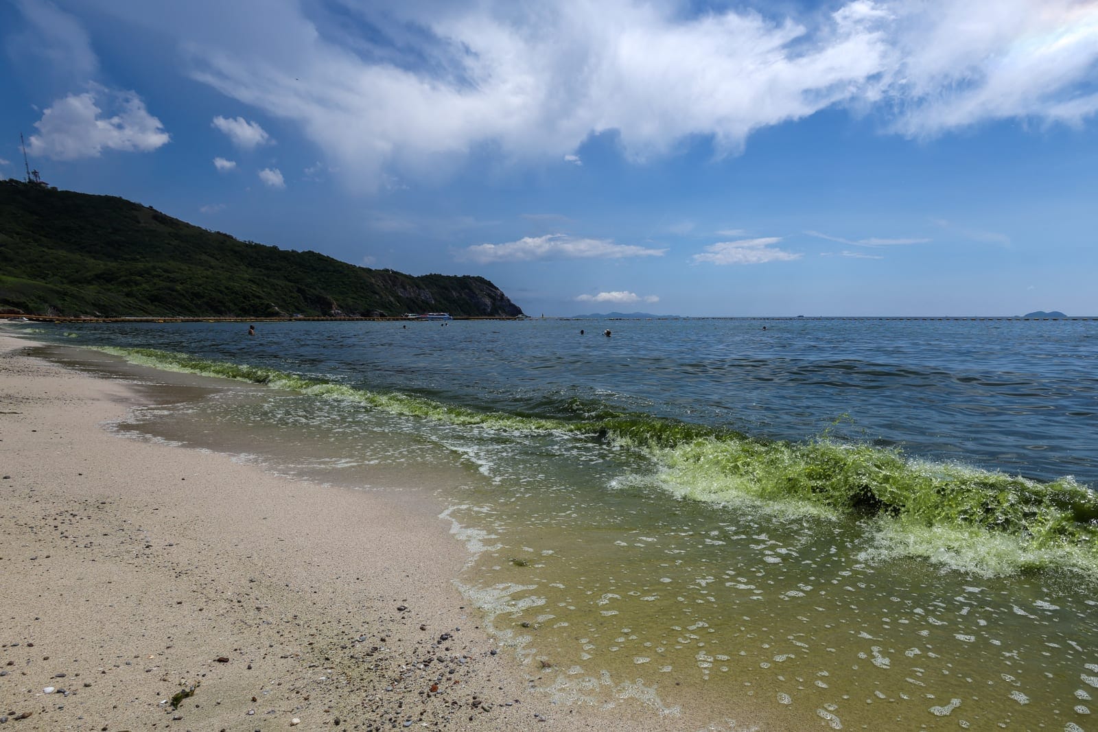 Green seawater associated with a plankton bloom, in Koh Lan, Pattaya, Chonburi province, Thailand, October 1, 2026. REUTERS/Athit Perawongmetha