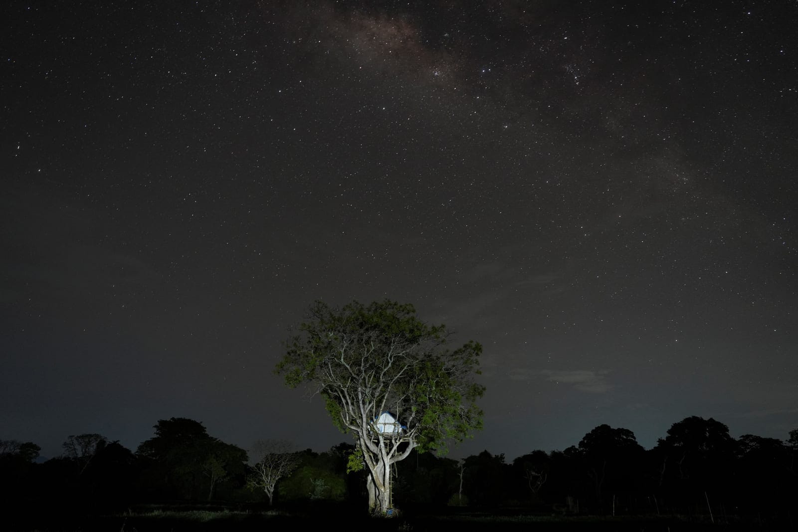A makeshift hut in a tree, used by farmers to protect their crops from wild elephants, in Galgamuwa, Sri Lanka, April 28, 2025. Galgamuwa is on the front line of one of the world's most serious human-elephant conflicts. An average of 138 people have