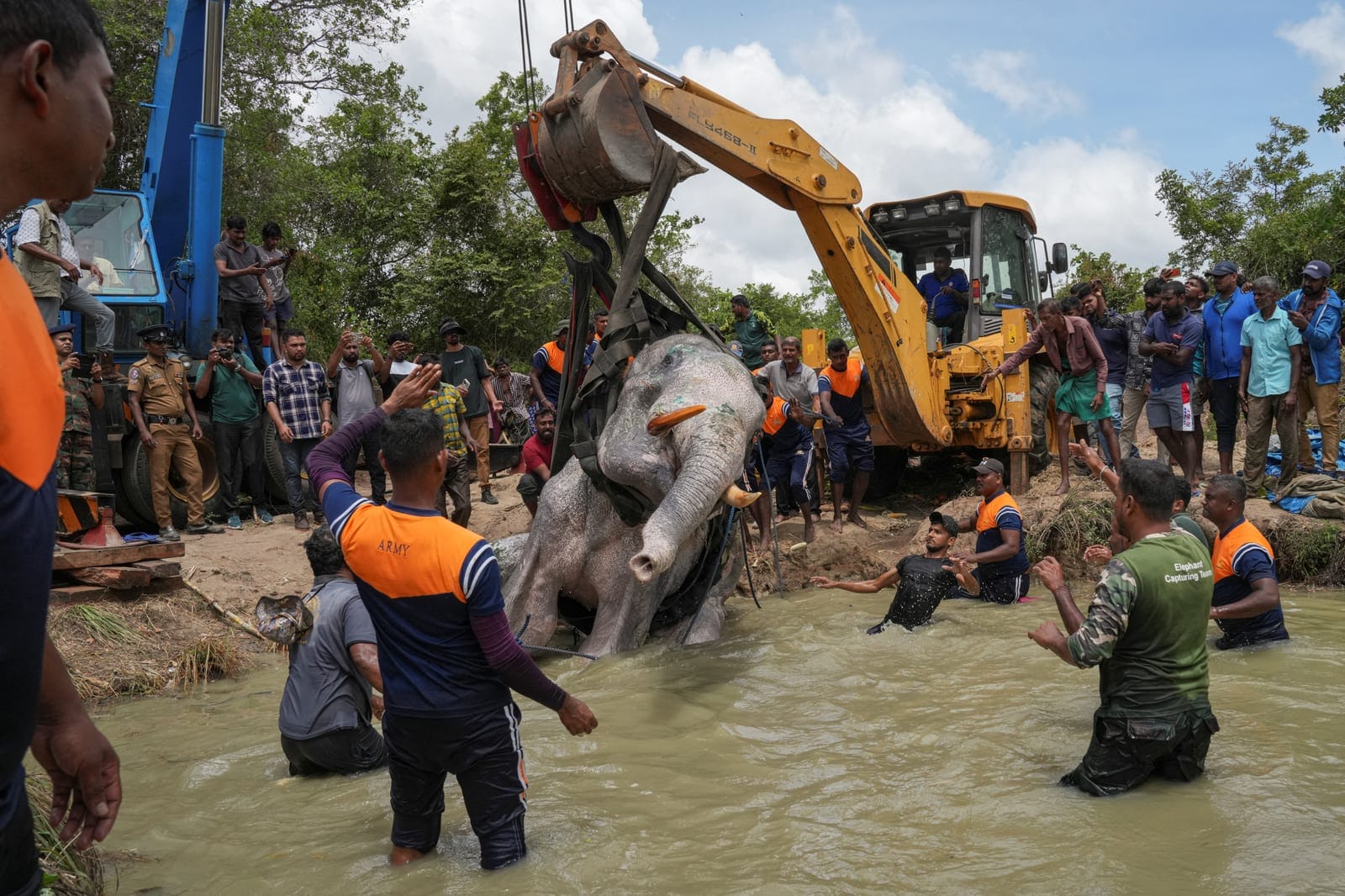 Villagers, Sri Lankan Army personnel, police officers and wildlife officials use an excavator to turn a sick wild elephant onto its other side during treatment in Ambanpola, Sri Lanka, July 14, 2025. Wildlife officials decided to turn the elephant af