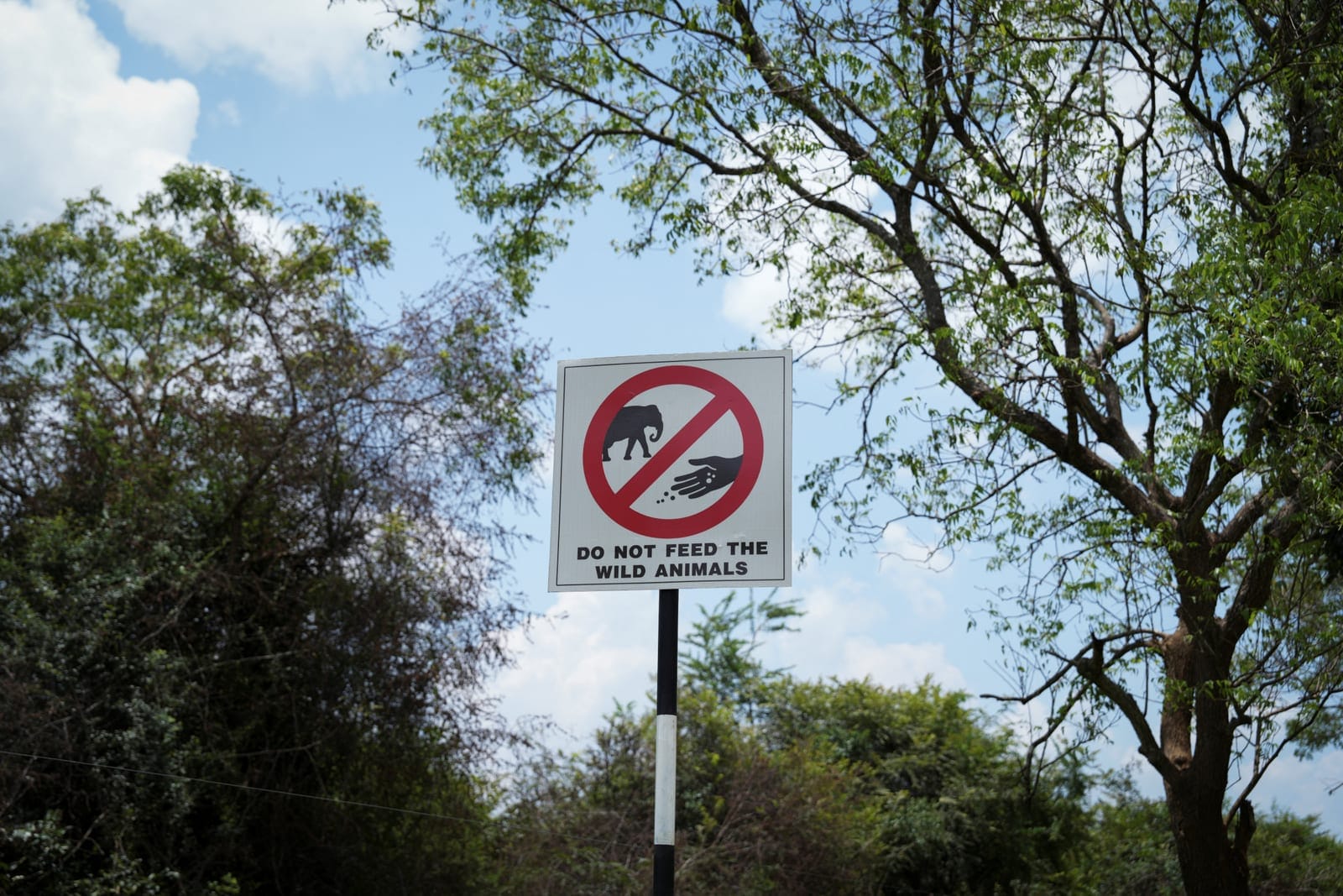 A sign reading "Do not feed the wild animals" near a forest area in Udawalawe, Sri Lanka, April 21, 2025. Sri Lanka's forest cover has plummeted from roughly 70% in the 1920s to about 34% today, World Bank data shows, and as many as 70% of Sri Lanka'