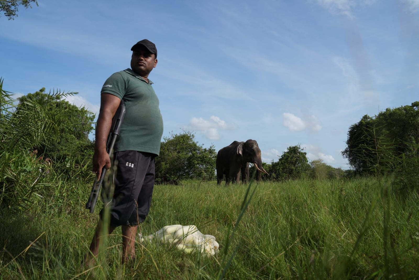 A wildlife official carrying a gun stands guard near a sick elephant in Ambanpola, Sri Lanka, June 2, 2025. Sri Lanka's forest cover has plummeted from roughly 70% in the 1920s to about 34% today, World Bank data shows, and as many as 70% of Sri Lank