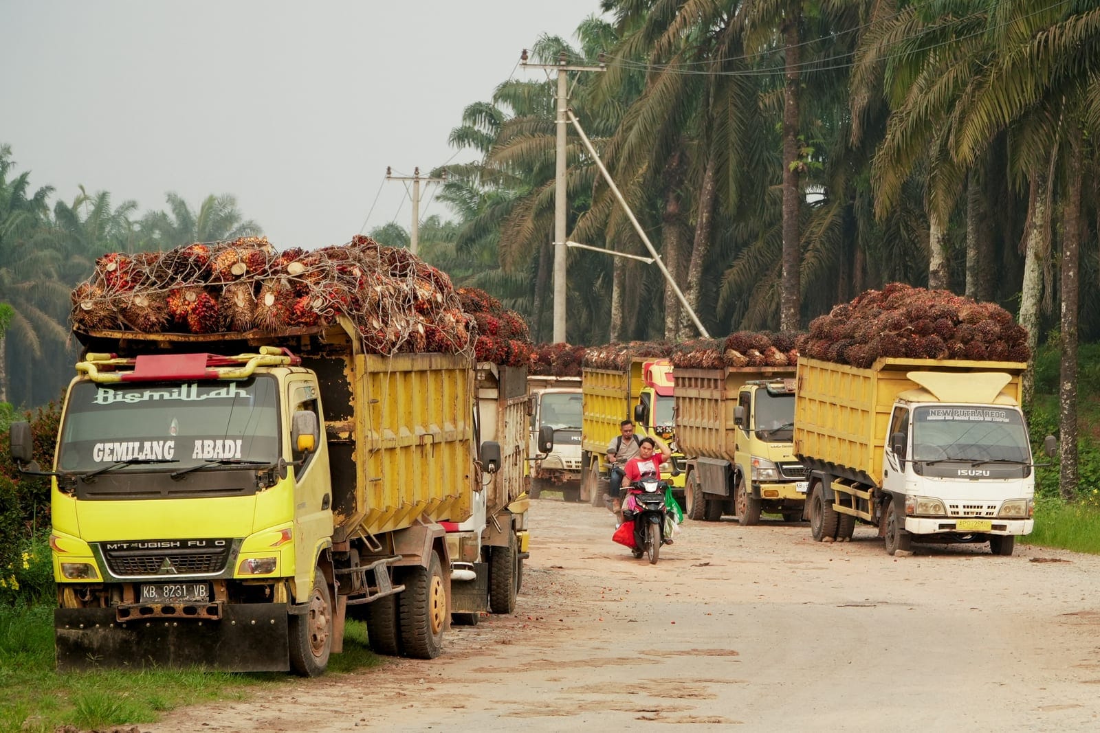 Trucks loaded with oil palm fruit bunches wait outside the Multi Prima Entakai (MPE) palm oil mill in Sanggau, West Kalimantan province, Indonesia, October 2, 2026. REUTERS/Soepriyadi Gunawan