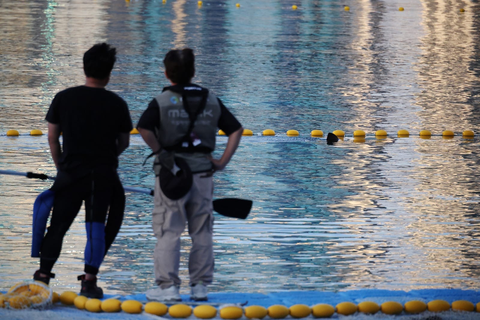 A diver and an official look at a shark nicknamed "Bukangi" swimming in a canal during an operation to guide it out of the canal at the North Port in Busan, South Korea, October 21, 2026. REUTERS/Kim Hong-Ji