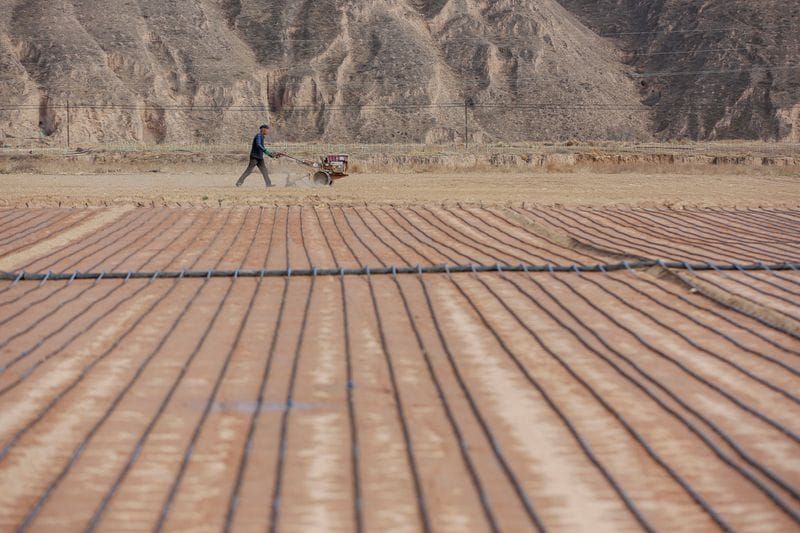 China Puts $319 Million Into Flood Defenses and Farm Disaster Relief post image