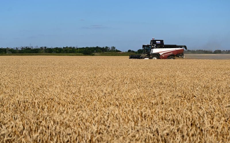 Why This 'Super' El Nino Won't Break the Global Food System Like 1997 Did post image