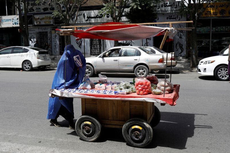Women Hold Just 5% of Afghan Jobs Five Years Into Taliban Rule, UN Says post image