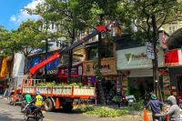 Too much of a good scent? Hanoi curbs iconic trees