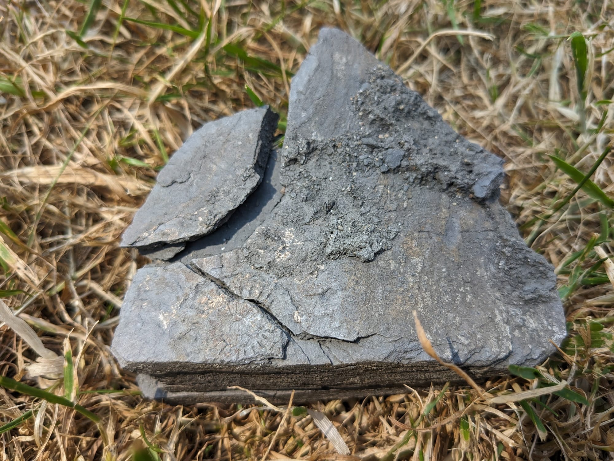 A mudstone bearing a faint fossil imprint, bottom left